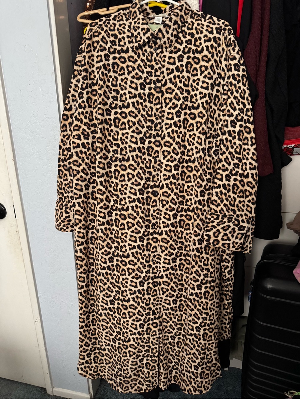 NWT H&M Leopard Print Long Sleeve Shirt Dress